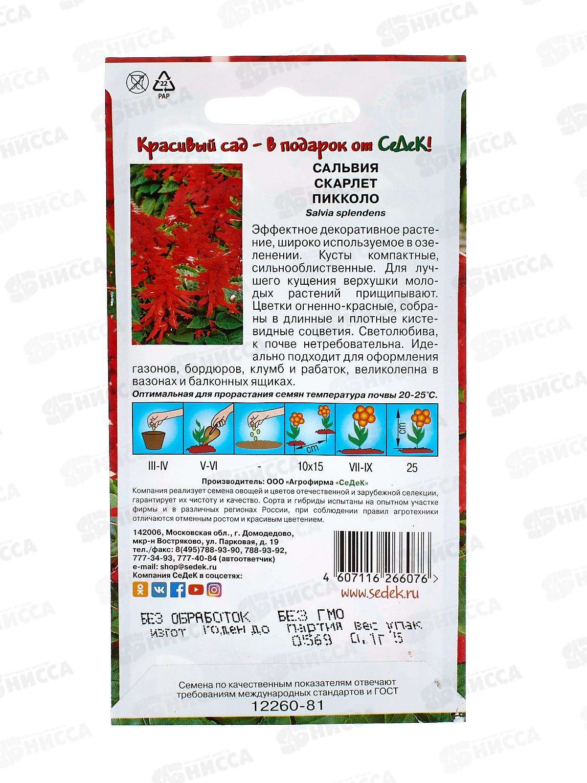 Сальвия Скарлет пиколло  (блестящая, низкорослая, красная) (Евро, 0,2) СеДек *10 +