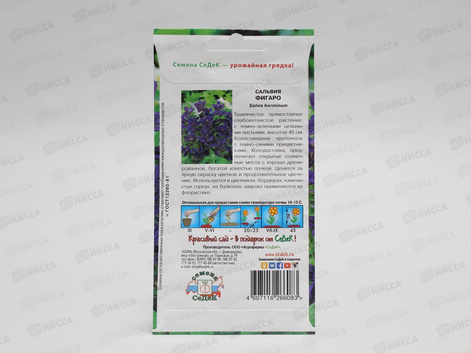 Сальвия Фигаро (хорминовая, темно-синяя) (Евро, 0,25) СеДек