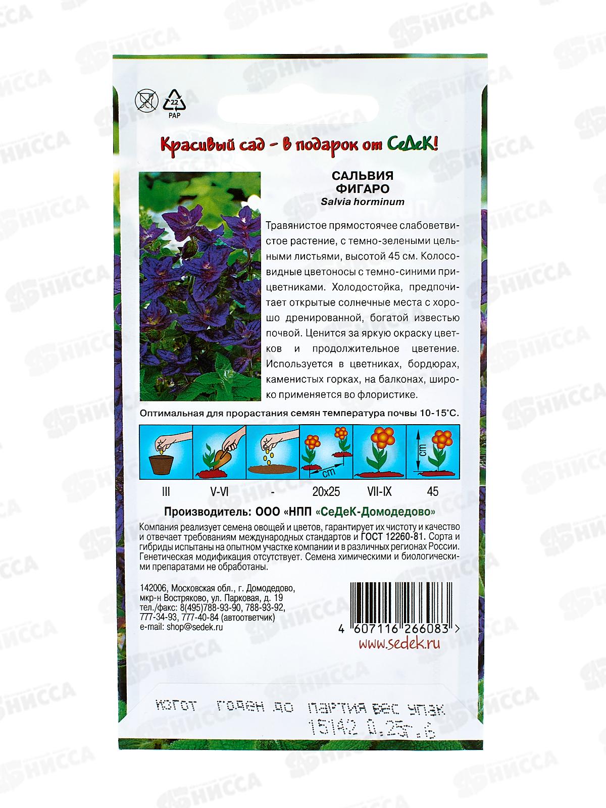 Сальвия Фигаро (хорминовая, темно-синяя) (Евро, 0,25) СеДек +