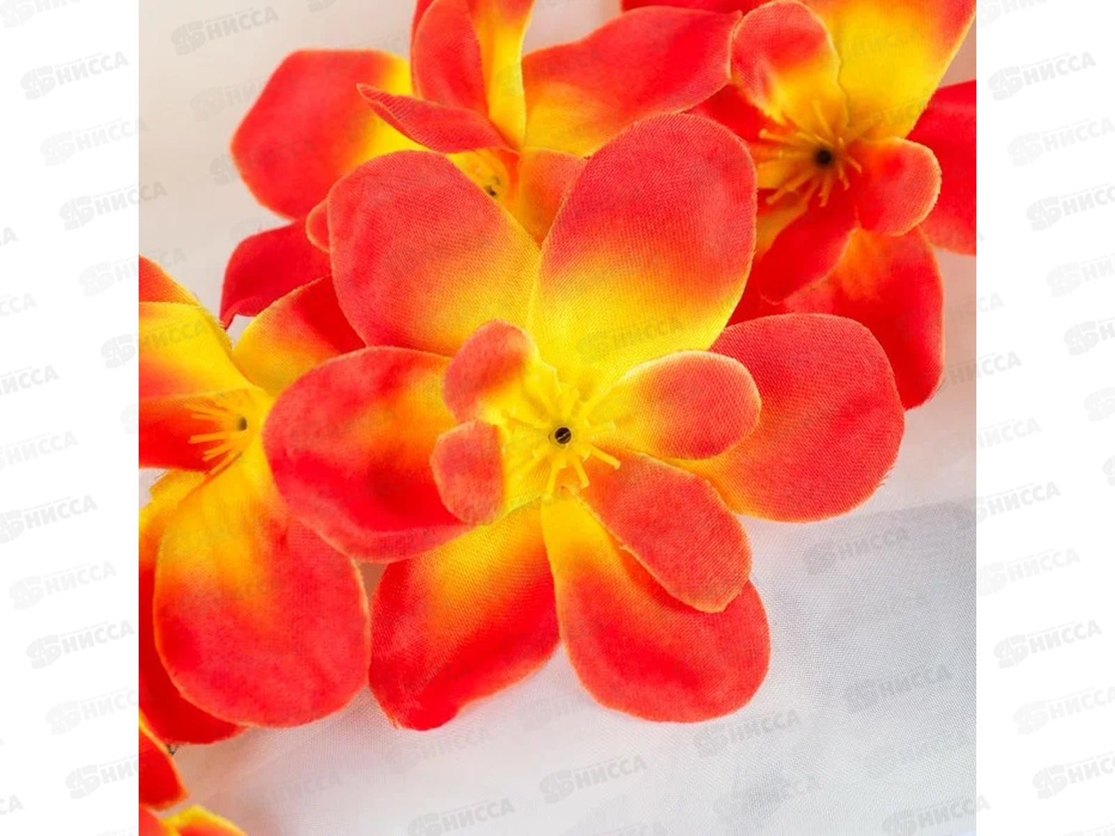 Цветы искусственные орхидея амезиелла 65см оранж 701711