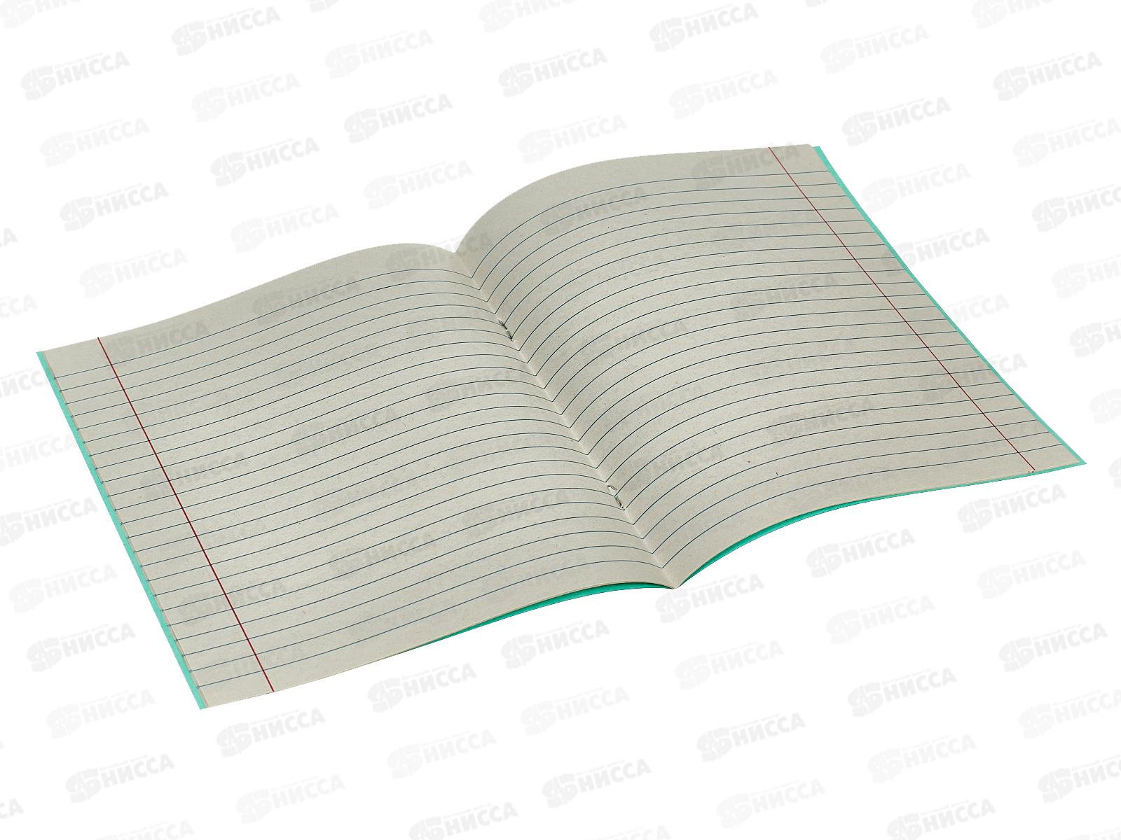 Тетрадь 12 листов линия ТОМСК газетная с полями, 2-г *100