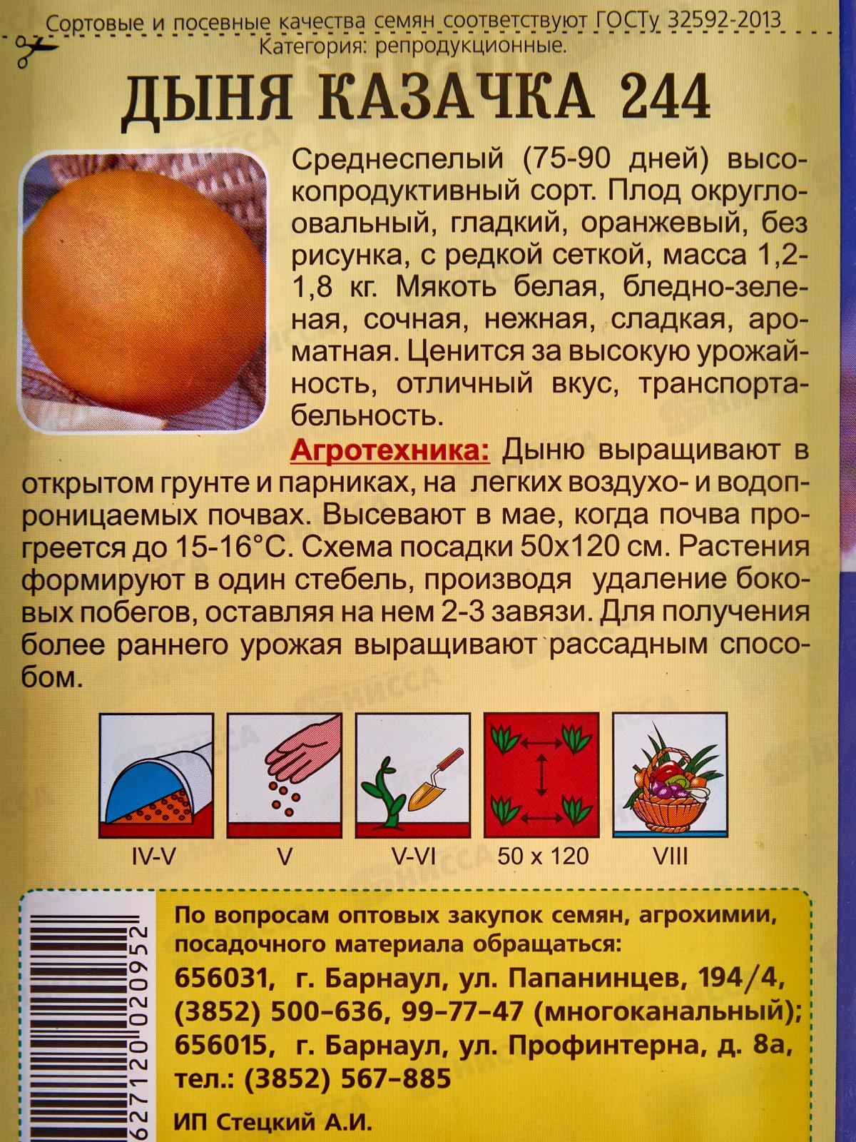 Дыня Казачка 244 (0,5гр) ДемСиб *10