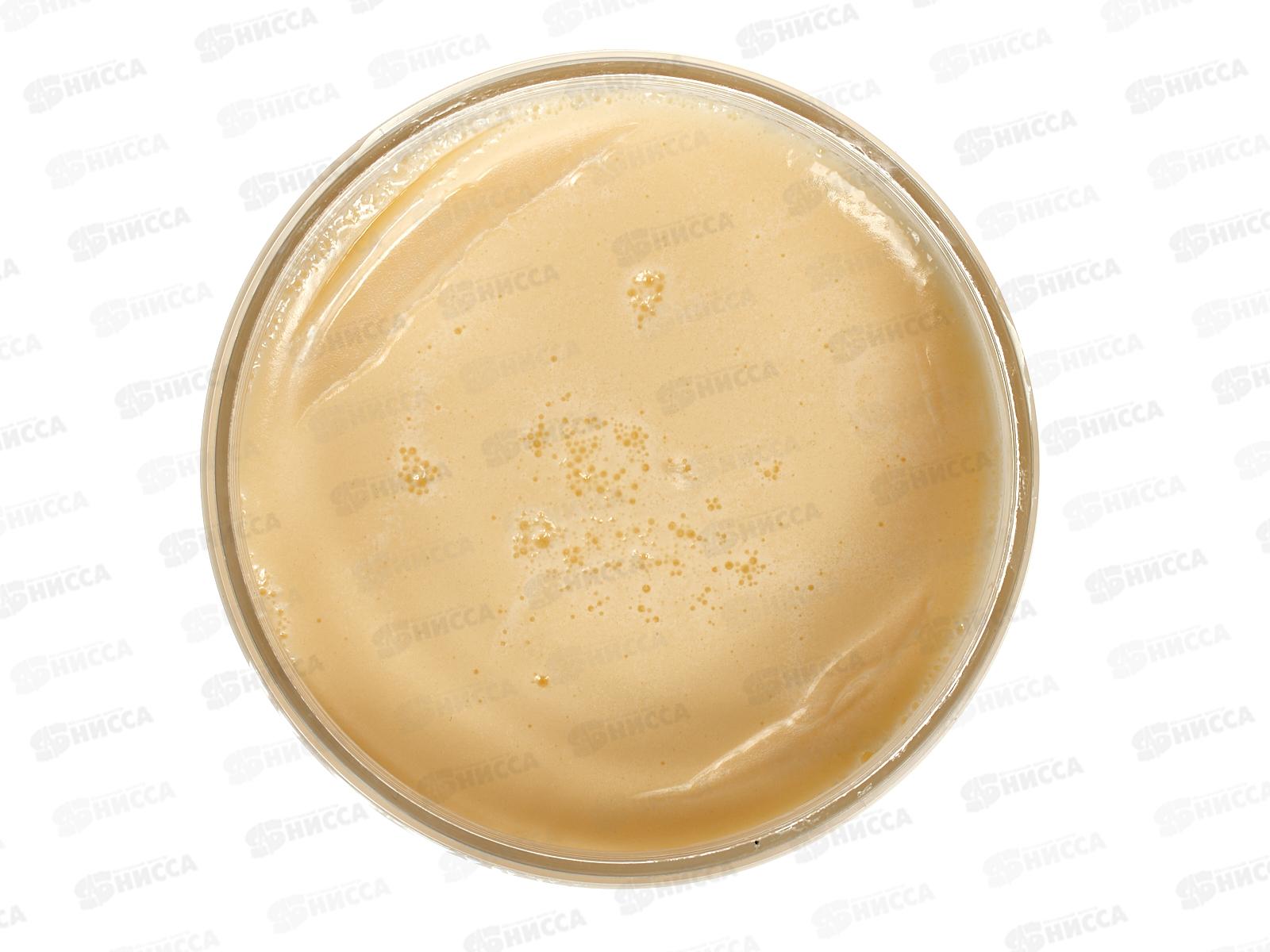 Рецепты Бабушки Агафьи мыло для бани Цветочное мыло 500мл *6 5253