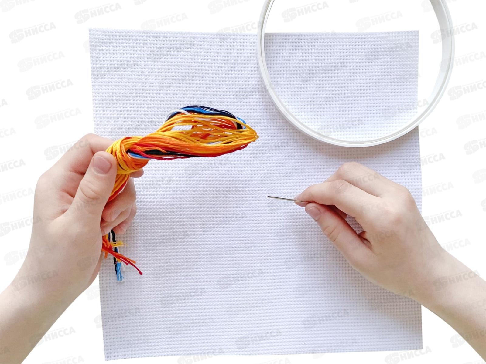 Набор для вышивания &quotРыбка&quot (с пяльцами) 00312  *14