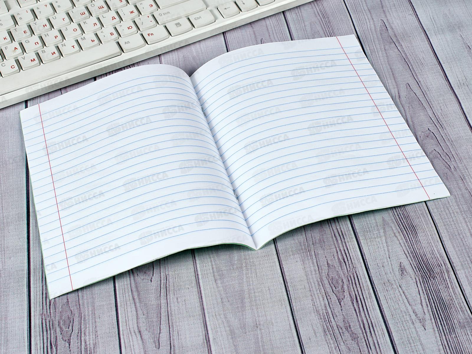 Тетрадь 12листов линия ПП стандарт, 12-5749 *400