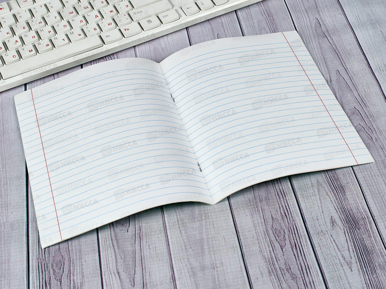 Тетрадь 18листов линия ПП стандарт, 5752 *300