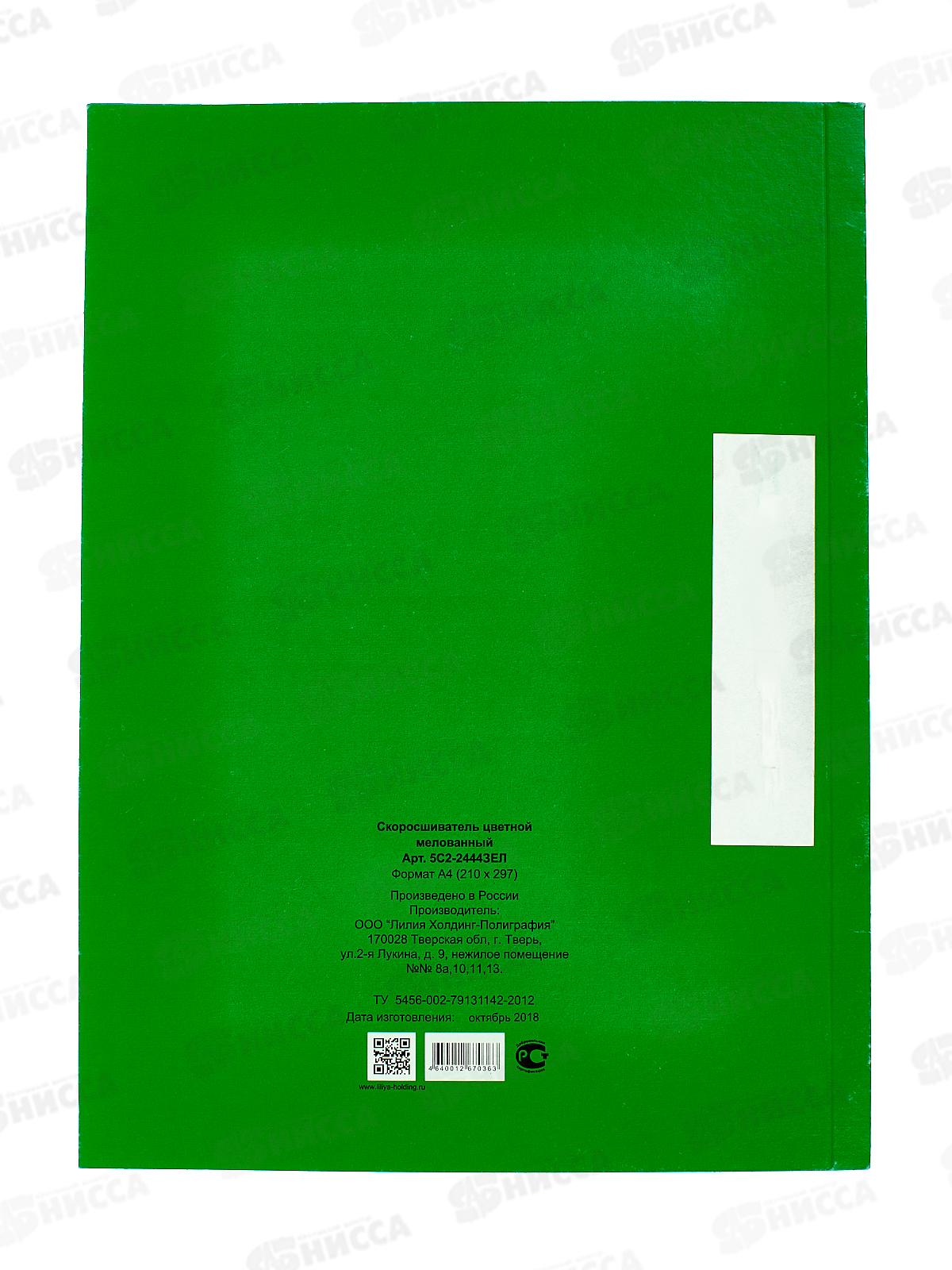 Скоросшиватель картонный цветной ЛХ зеленый, мелованный (5С2-2444Ц) *100