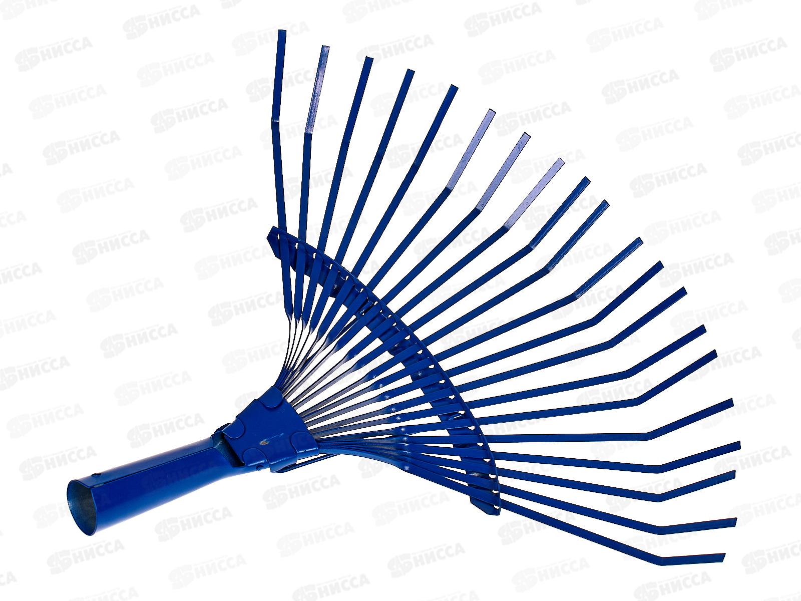 Грабли веерные пластинчатые порошок 20 зубов, с564 (Павлово)  *10