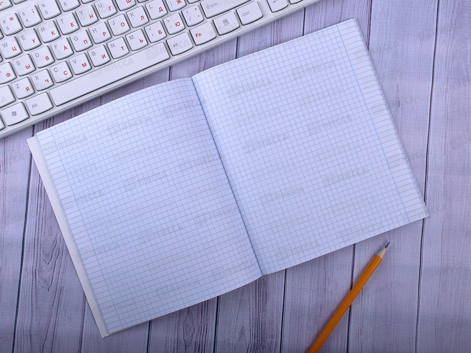 Тетрадь 48 листов  клетка  ПЛН Россия, офс., 21с18  *40