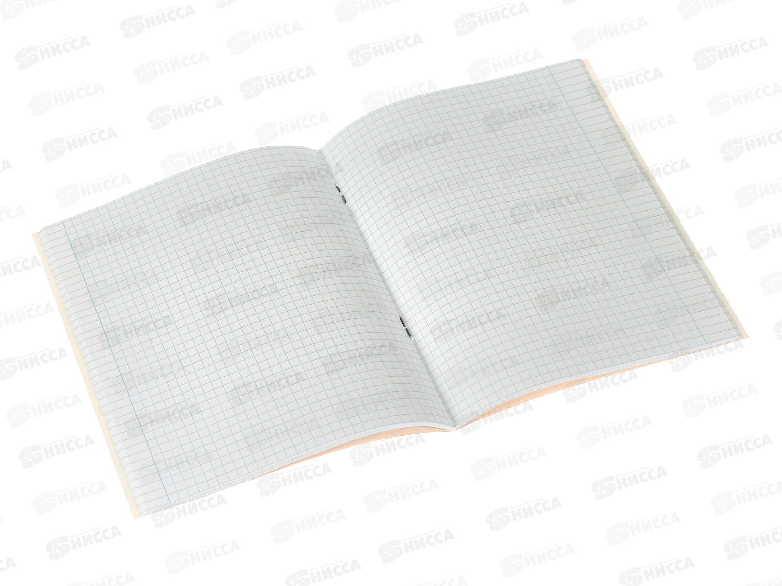 Тетрадь 48листов клетка ПЛН Виды СПб, 11с6 *40