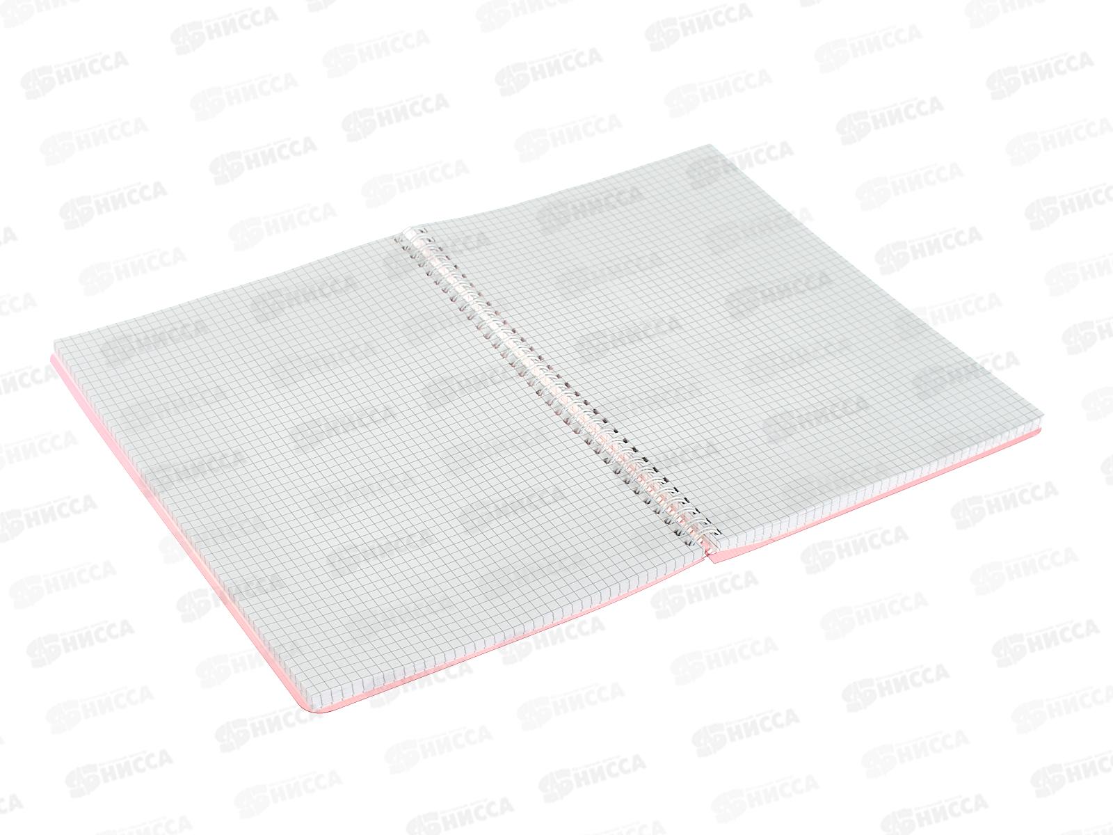 Книга канцелярская 100л клетка СБ красная пластиковая обложка, на гребне *5