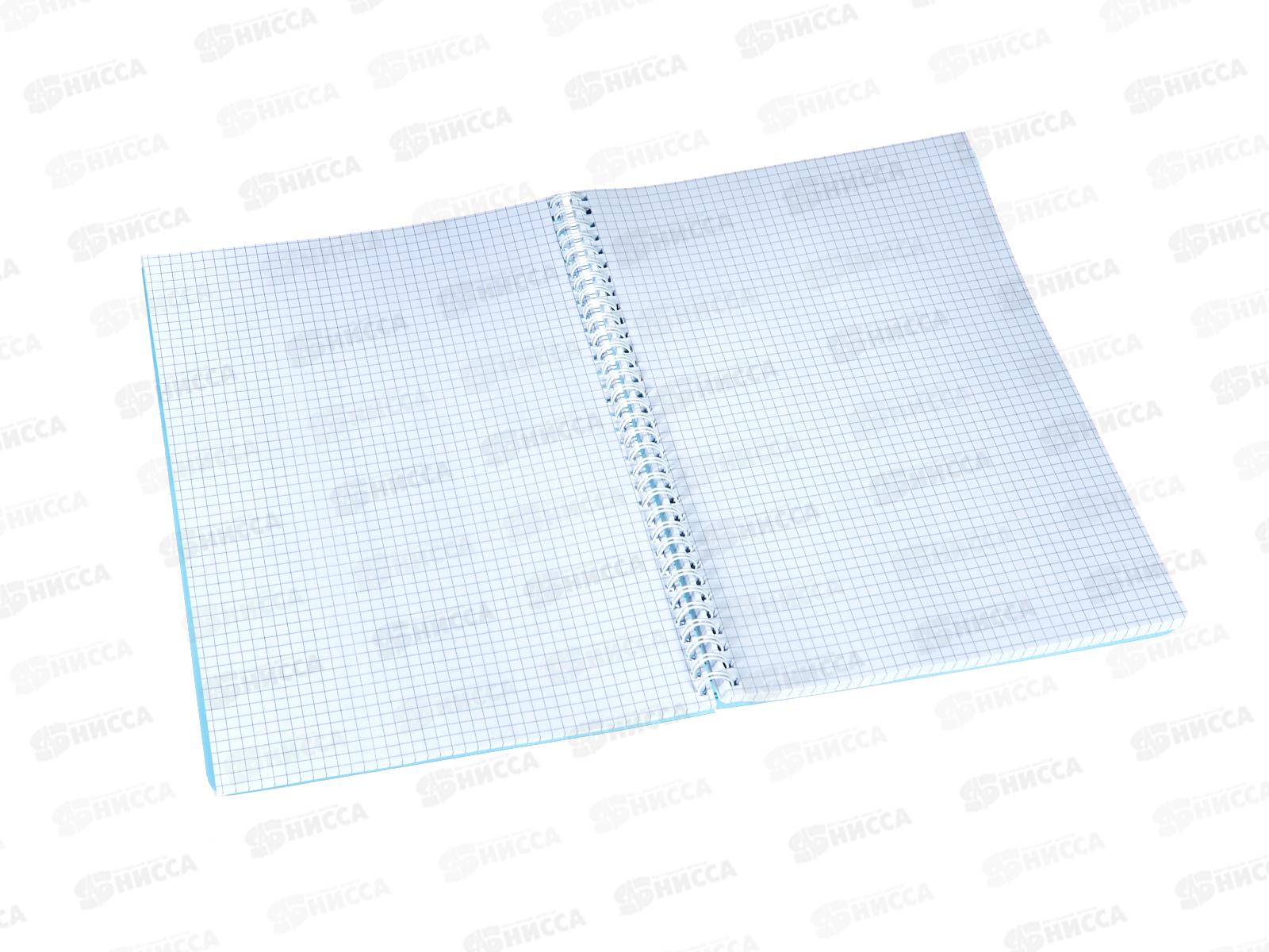 Книга канцелярская 100л клетка СБ синяя пластиковая, на гребне *5