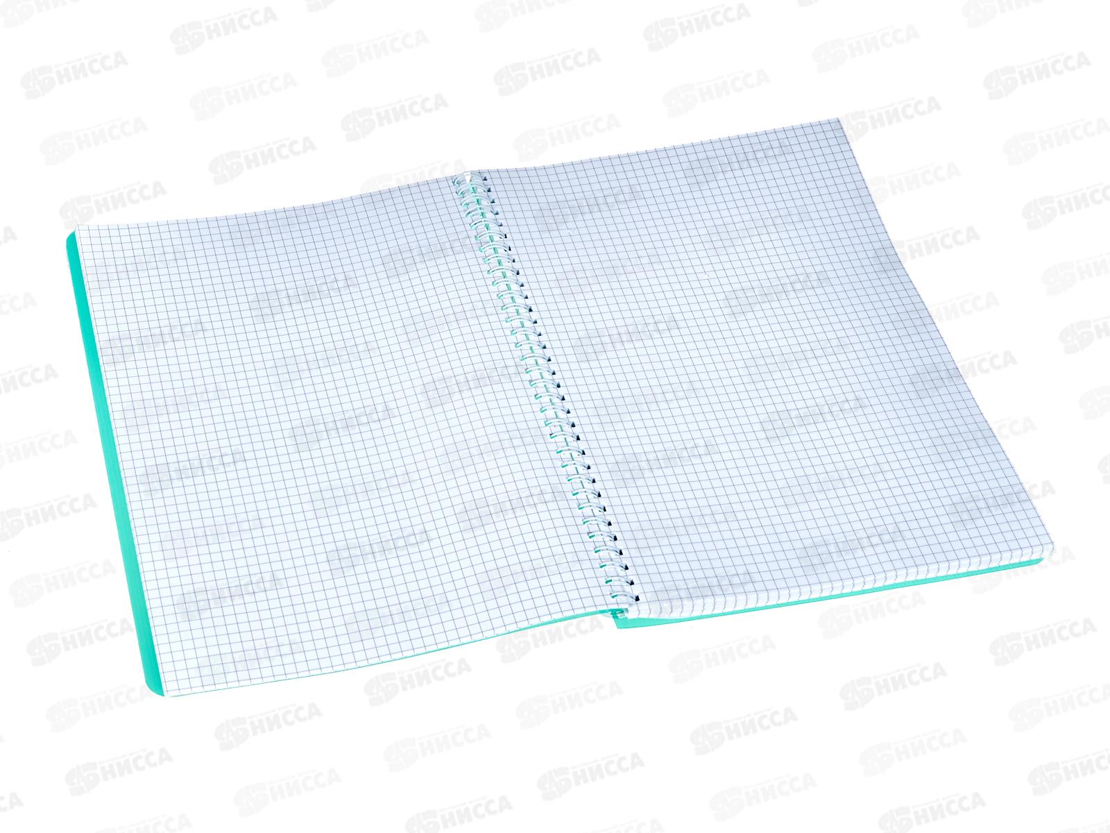 Книга канцелярская 100л клетка СБ зелёная пластиковая обложка, на гребне *5