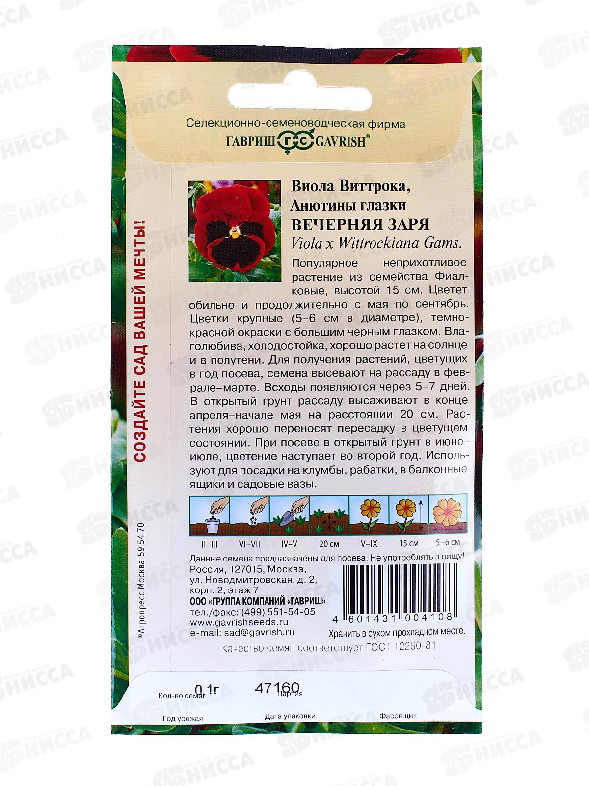 Виола Вечерняя заря Виттрока (Анютины глазки)  0,1 грамм   *10