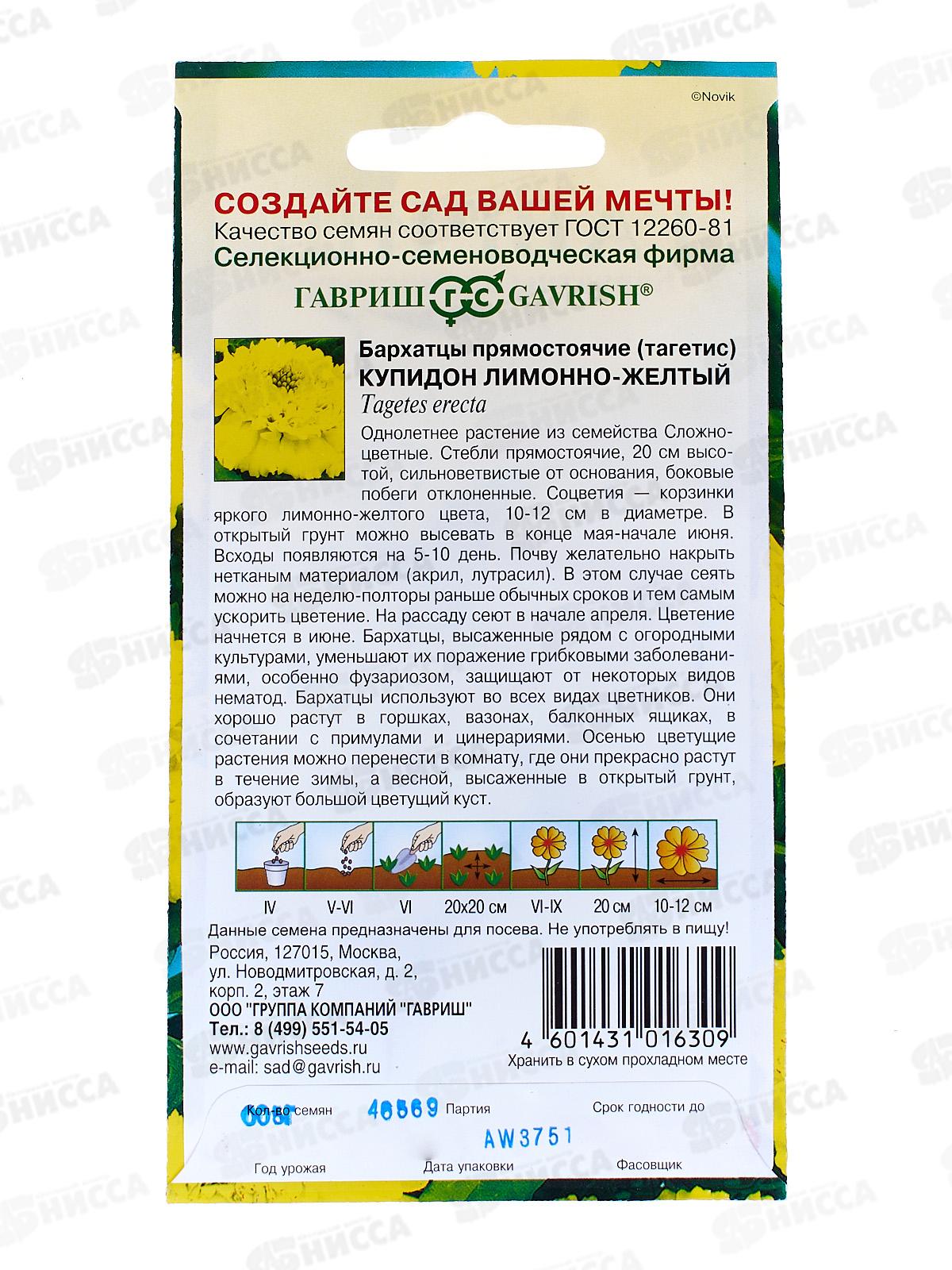 Бархатцы прямостоячие Купидон лимонно-желтый 20см (Тагетес) 0,05 грамм   *10 ГШ