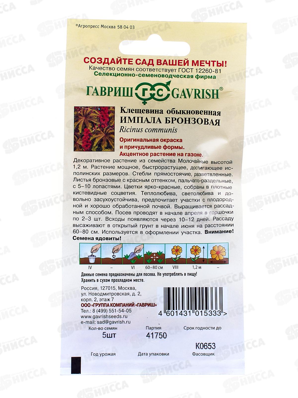 Клещевина Импала бронзовая 5 штук   *10 +