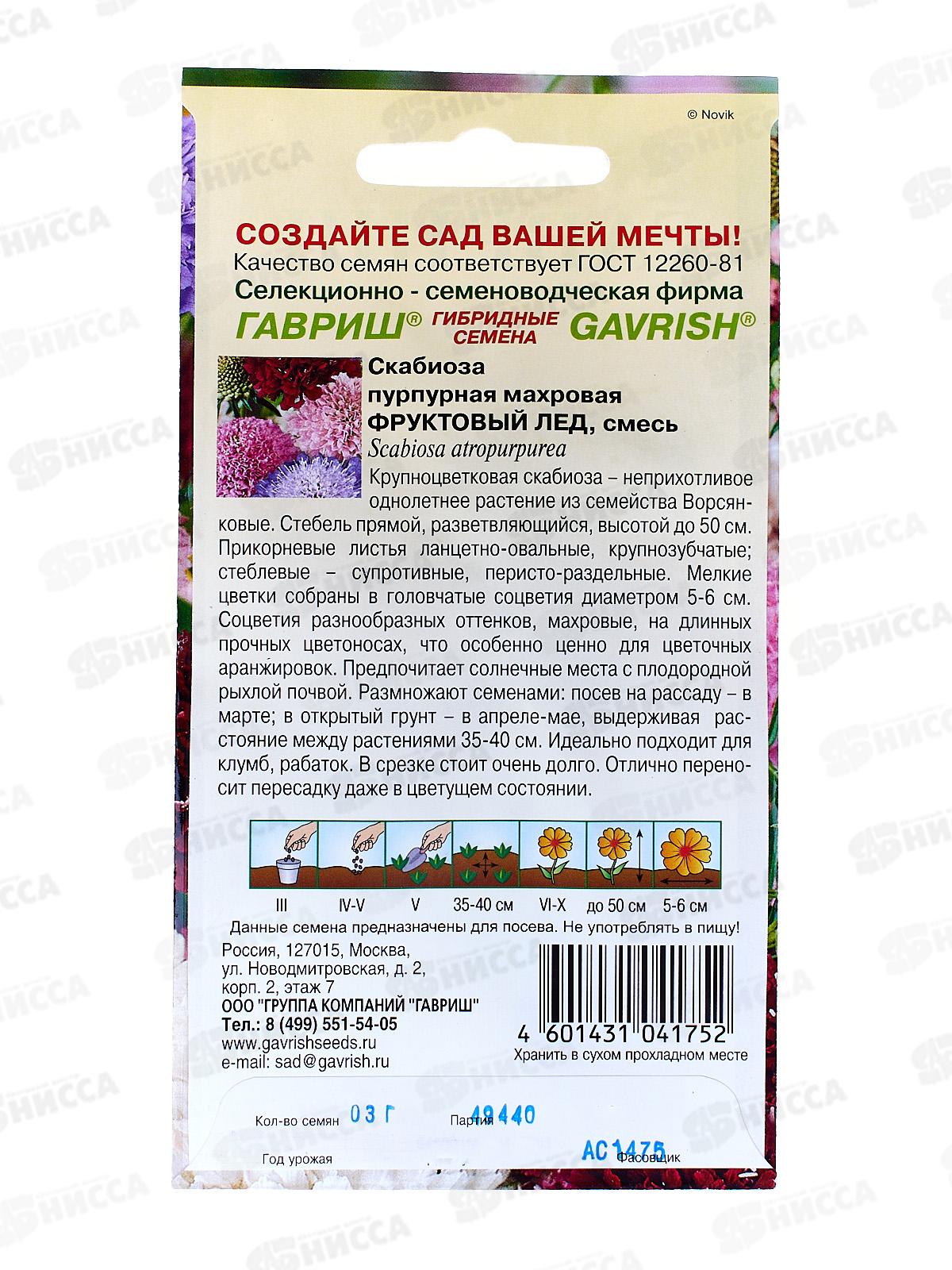 Скабиоза пурпурная Фруктовый лед махровая смесь 0,3 грамма  Н12  *10 ГШ +