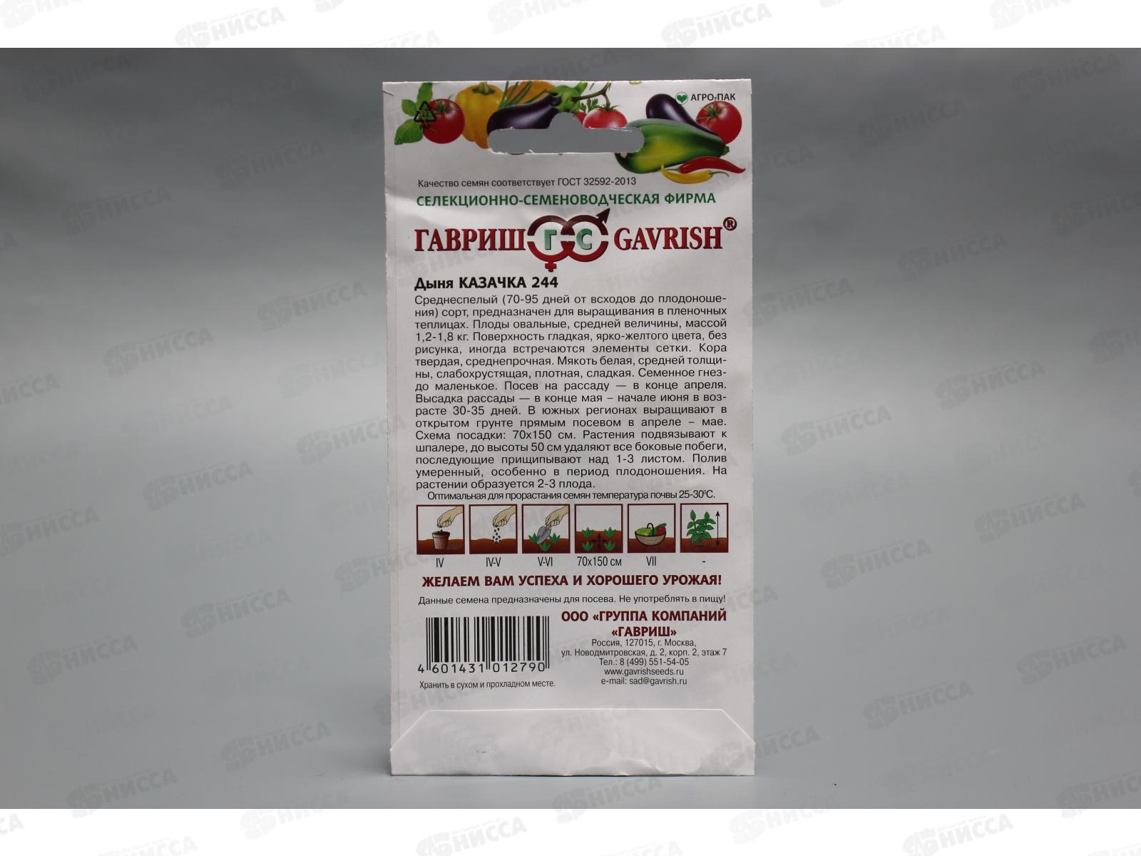 Дыня Казачка 244 1 грамм  *10 ГШ