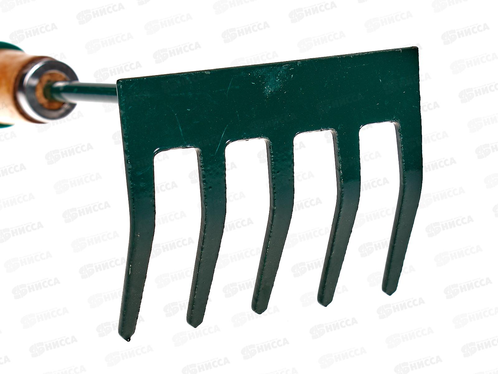 Грабли садовые 30см 5 зубьев (B-29) (28565) *120  Ж