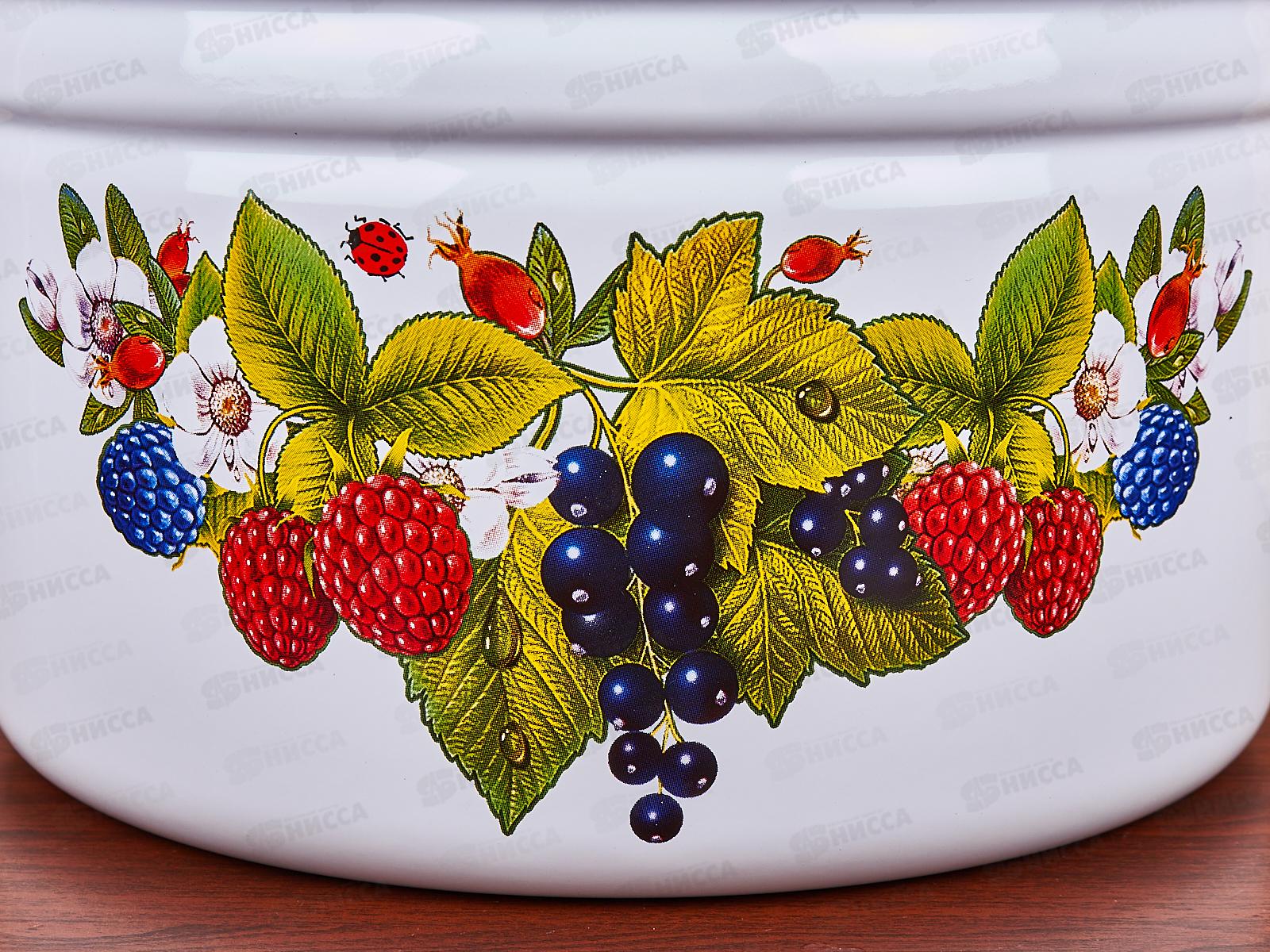 Кастрюля 8,0л цилиндрическая декорированная с петлей С1620 *2