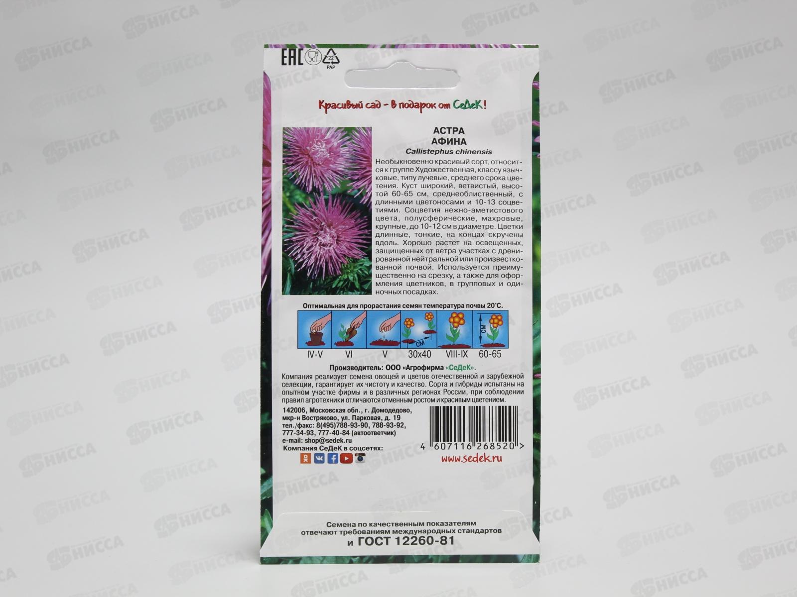 Астра Афина (игольчатая аметистовая) (Евро, 0,2) СеДек *10 +