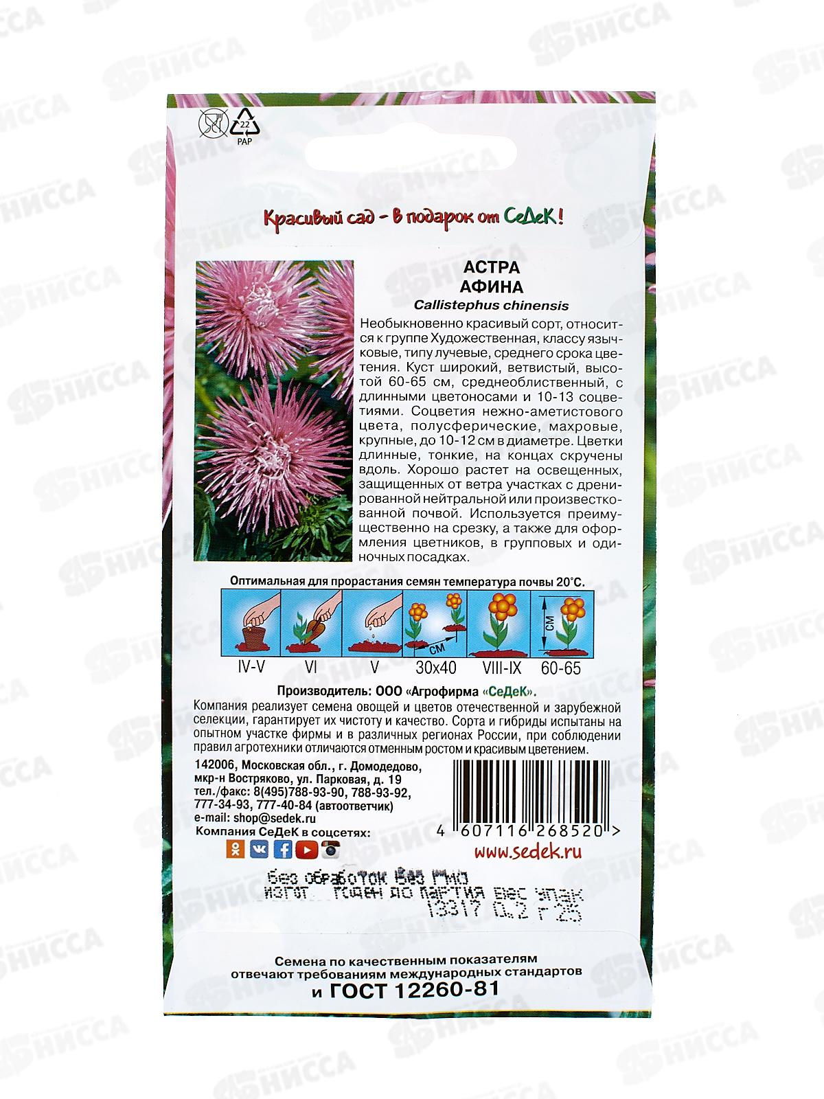 Астра Афина (игольчатая аметистовая) (Евро, 0,2) СеДек *10 +