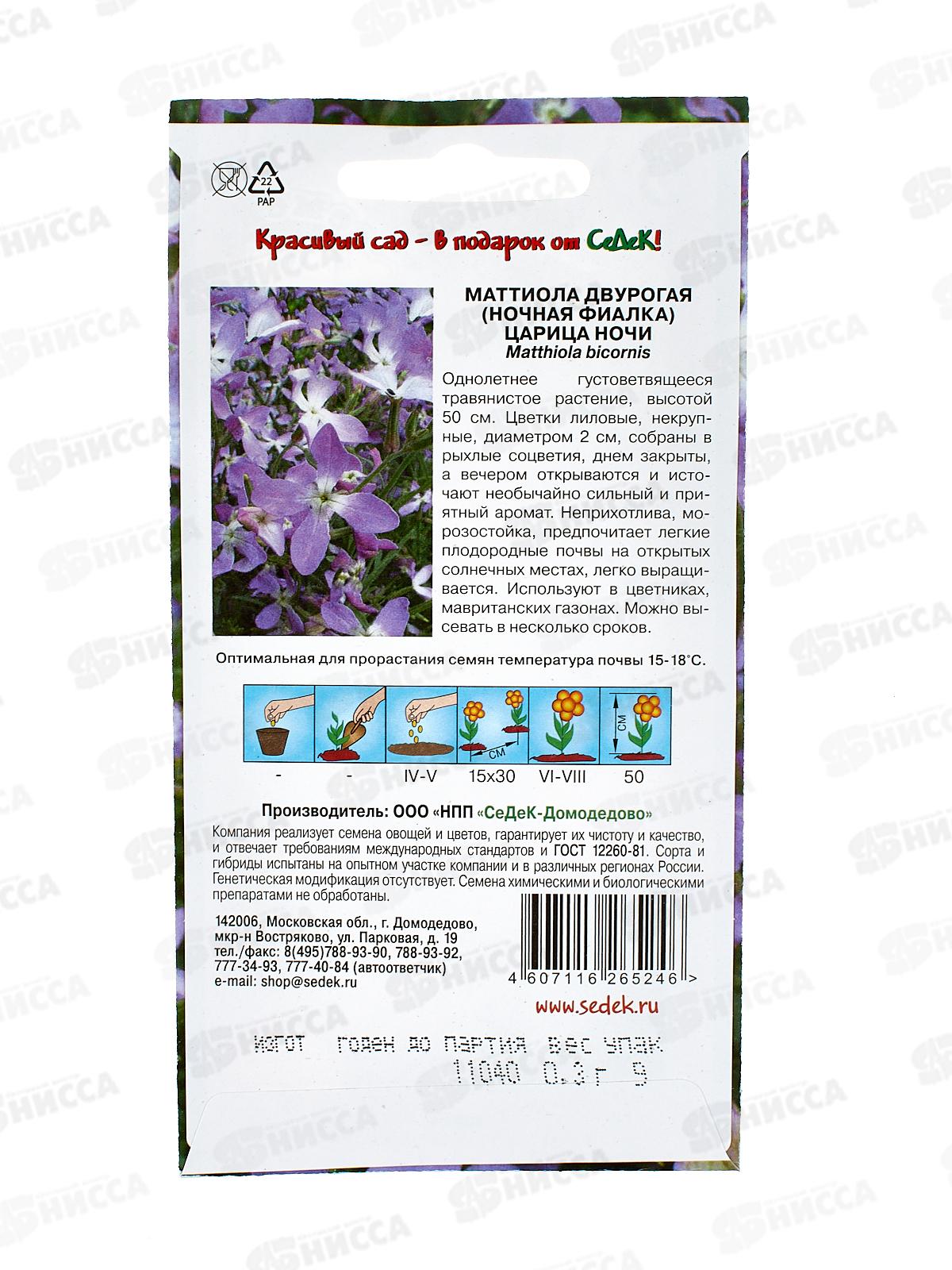 Маттиола Царица Ночи (двурогая) (Евро, 1) СеДек *10 +