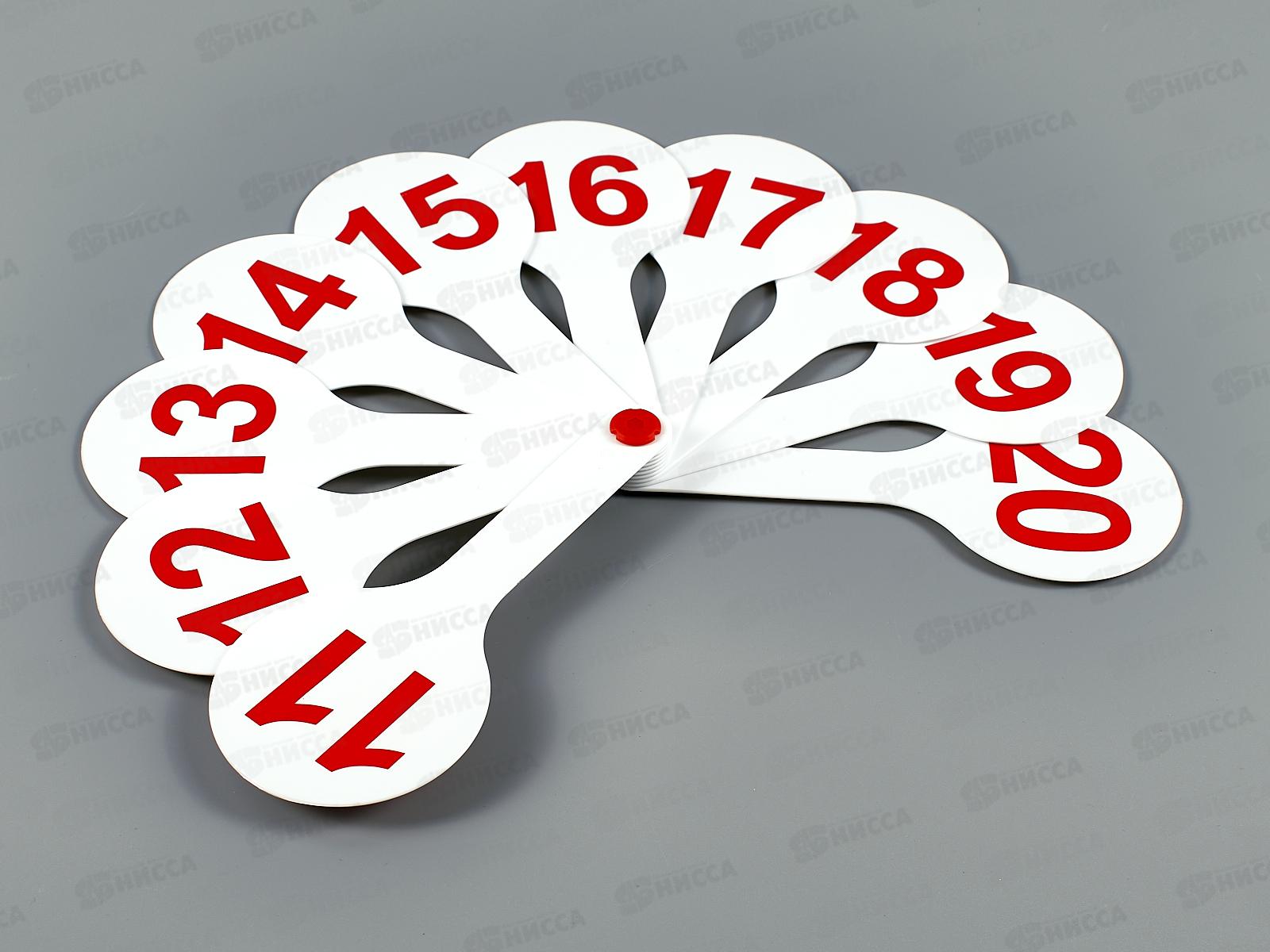 Касса-веер чисел СТАММ 0-20, ВК15 *36