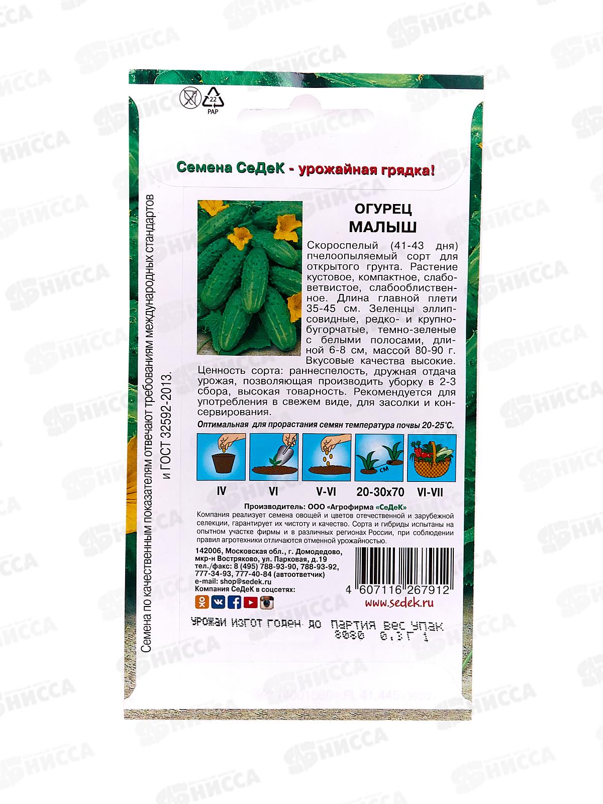 Огурец Малыш открытый грунт  (Евро, 0,3  0216) СеДек +