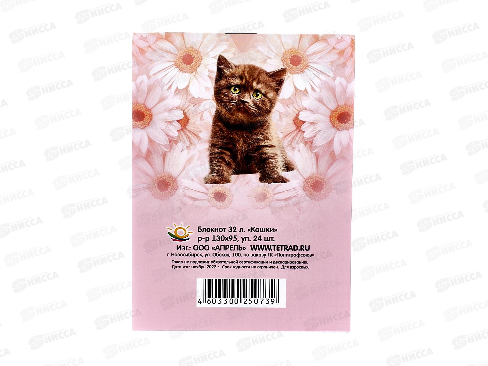 Блокнот 32листа ПГС Кошки, 95*130 *24