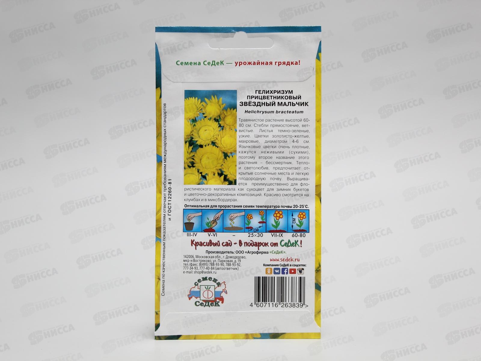 Гелихризум Звездный мальчик (желтый) (Евро, 0,2) *10 СеДек +