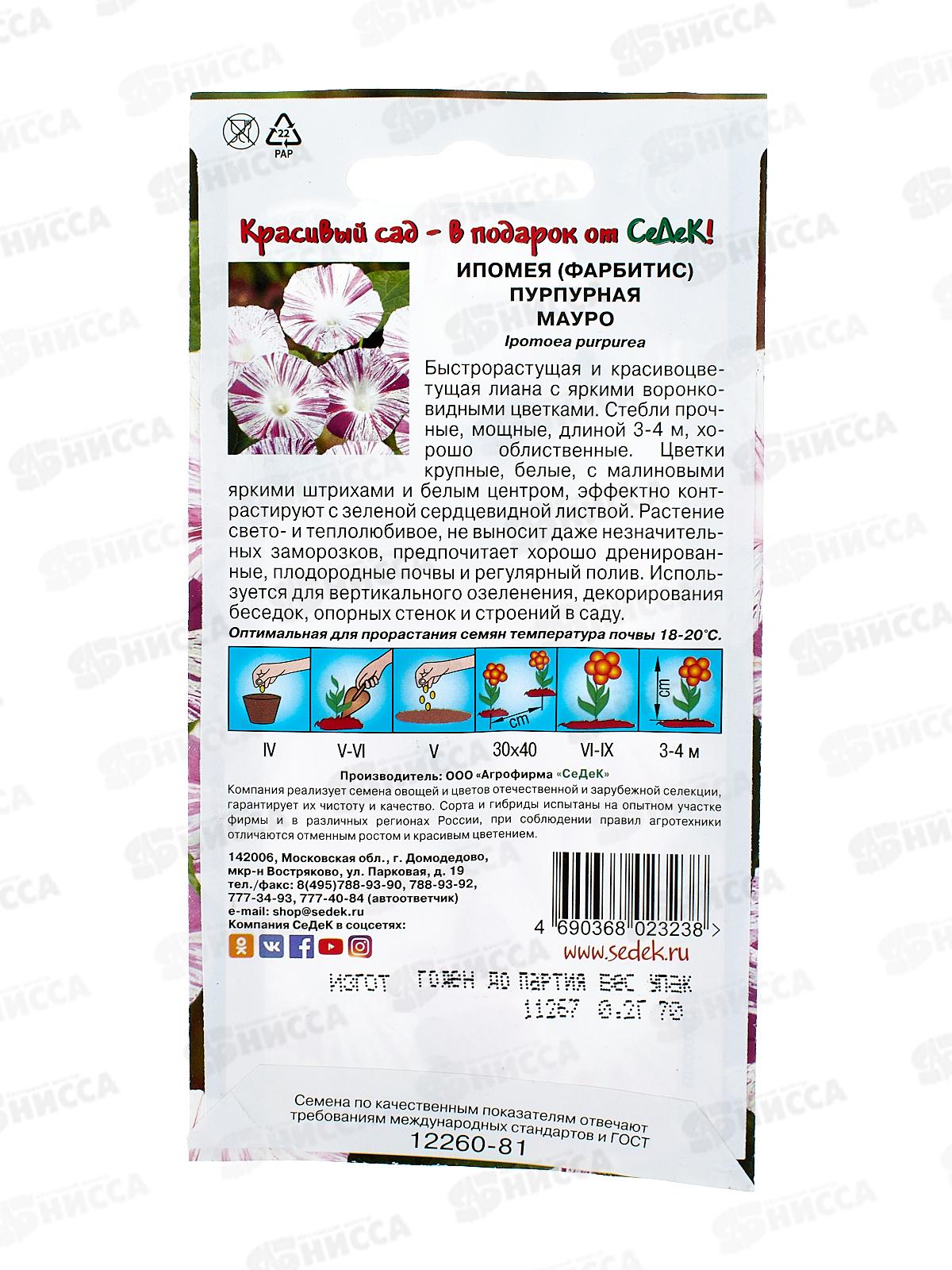 Ипомея Мауро (тип пурпурная, белая с малиновыми штрихами) (Евро) СеДек +