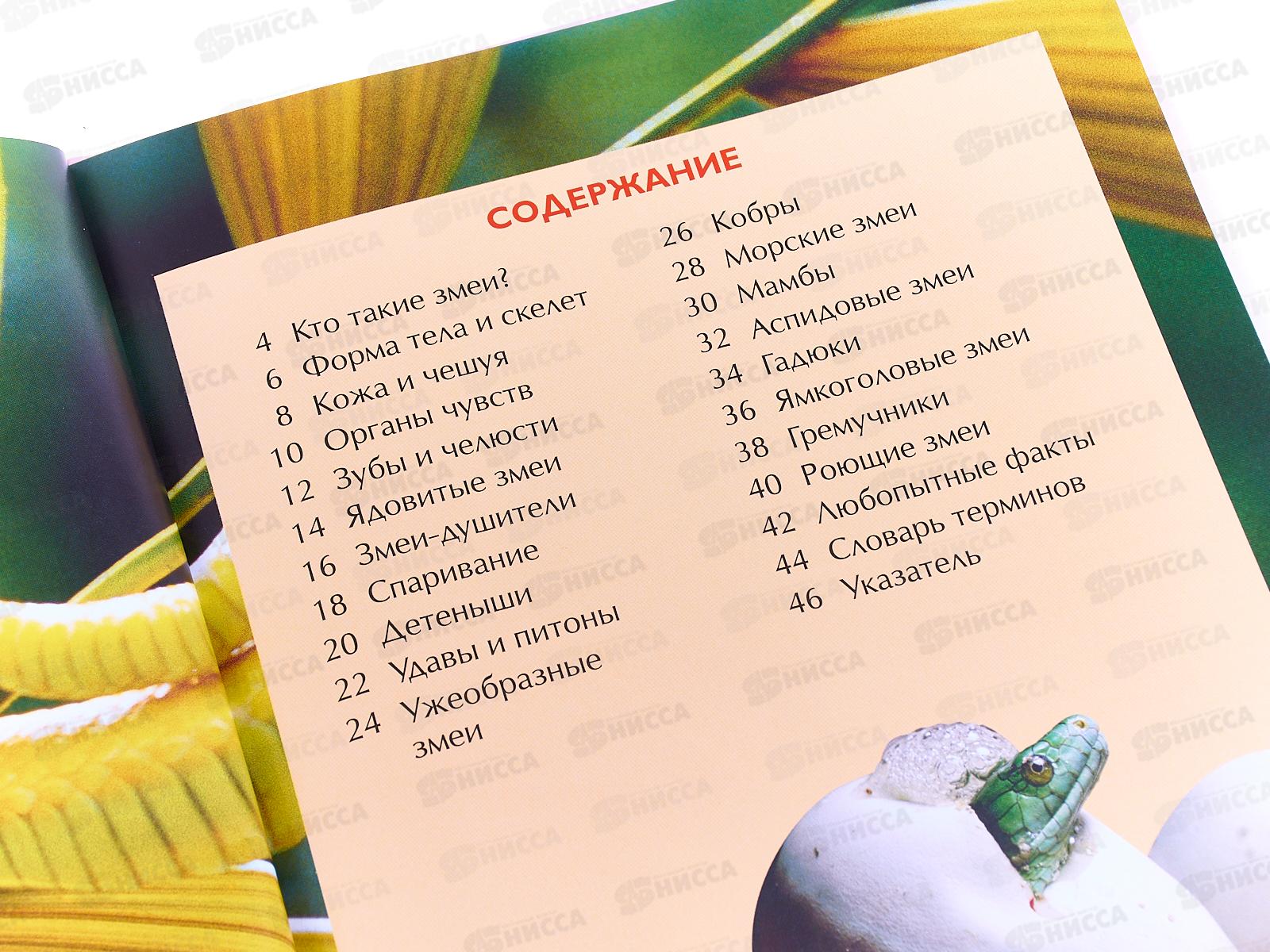 Энциклопедия Росмэн Детская Змеи 17330 *12