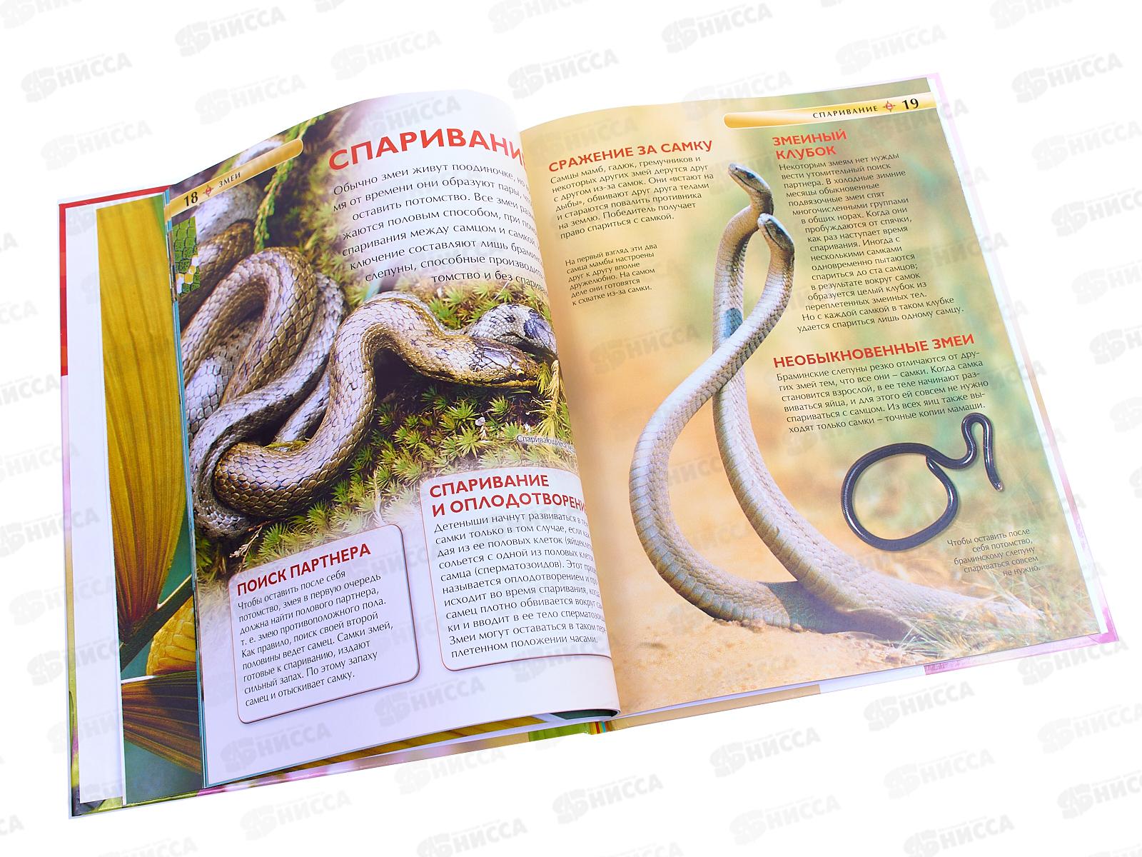 Энциклопедия Росмэн Детская Змеи 17330 *12