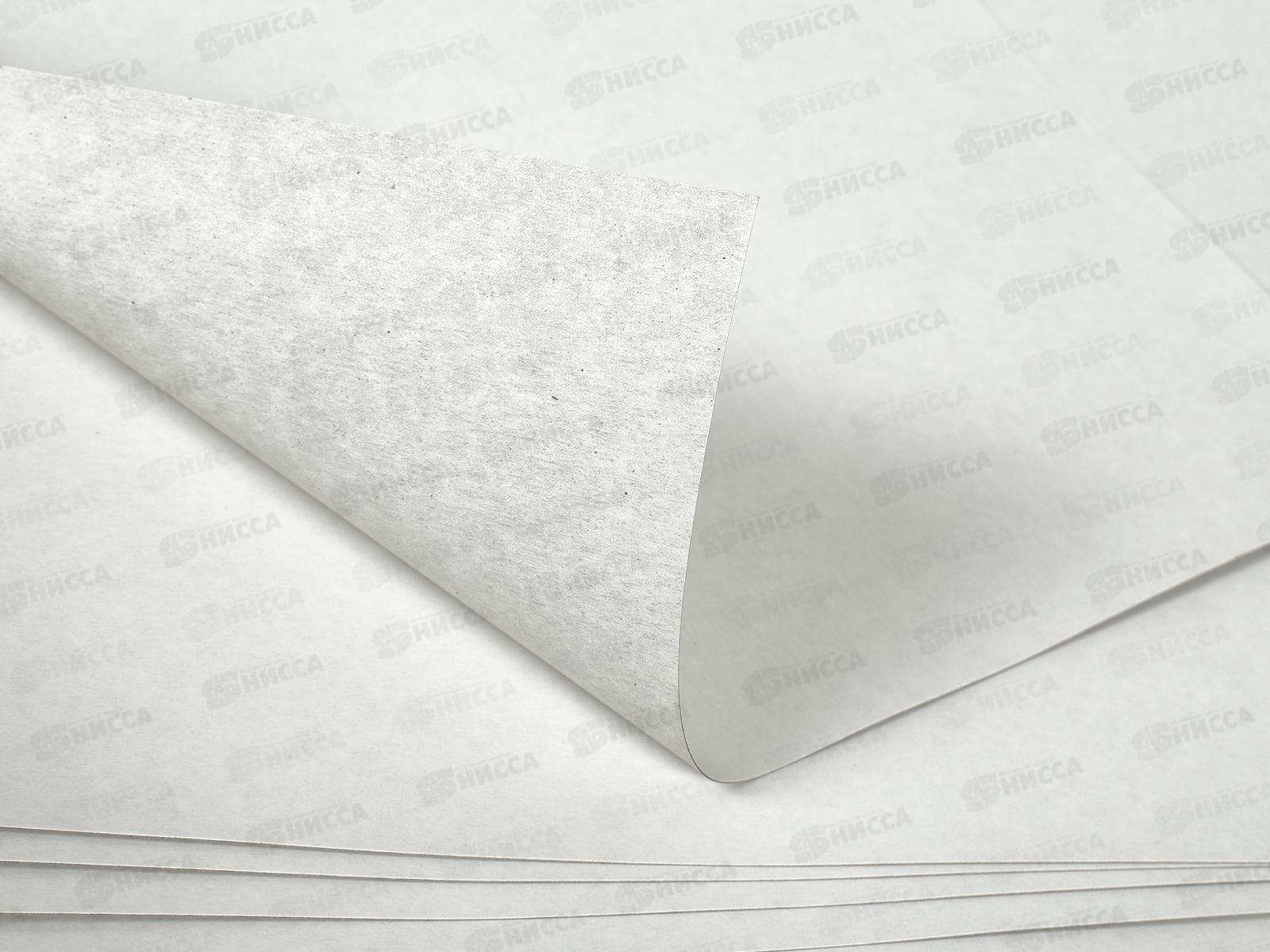 Картон Белый А3 ЛХ 10листов Беседка (БКД/3) *20