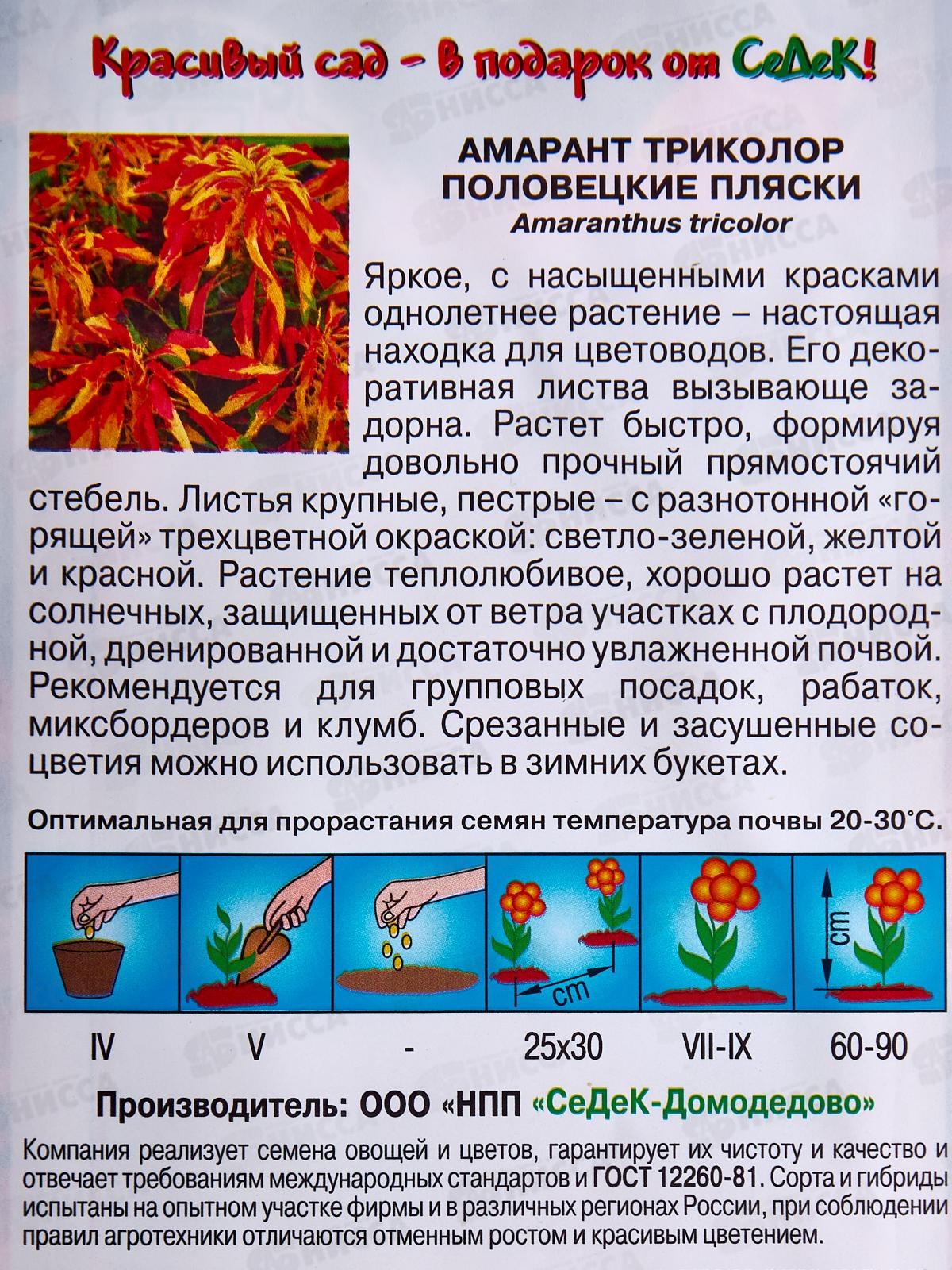 Амарант Половецкие Пляски (трехцветный) (Евро, 0,1) СеДек *10 +