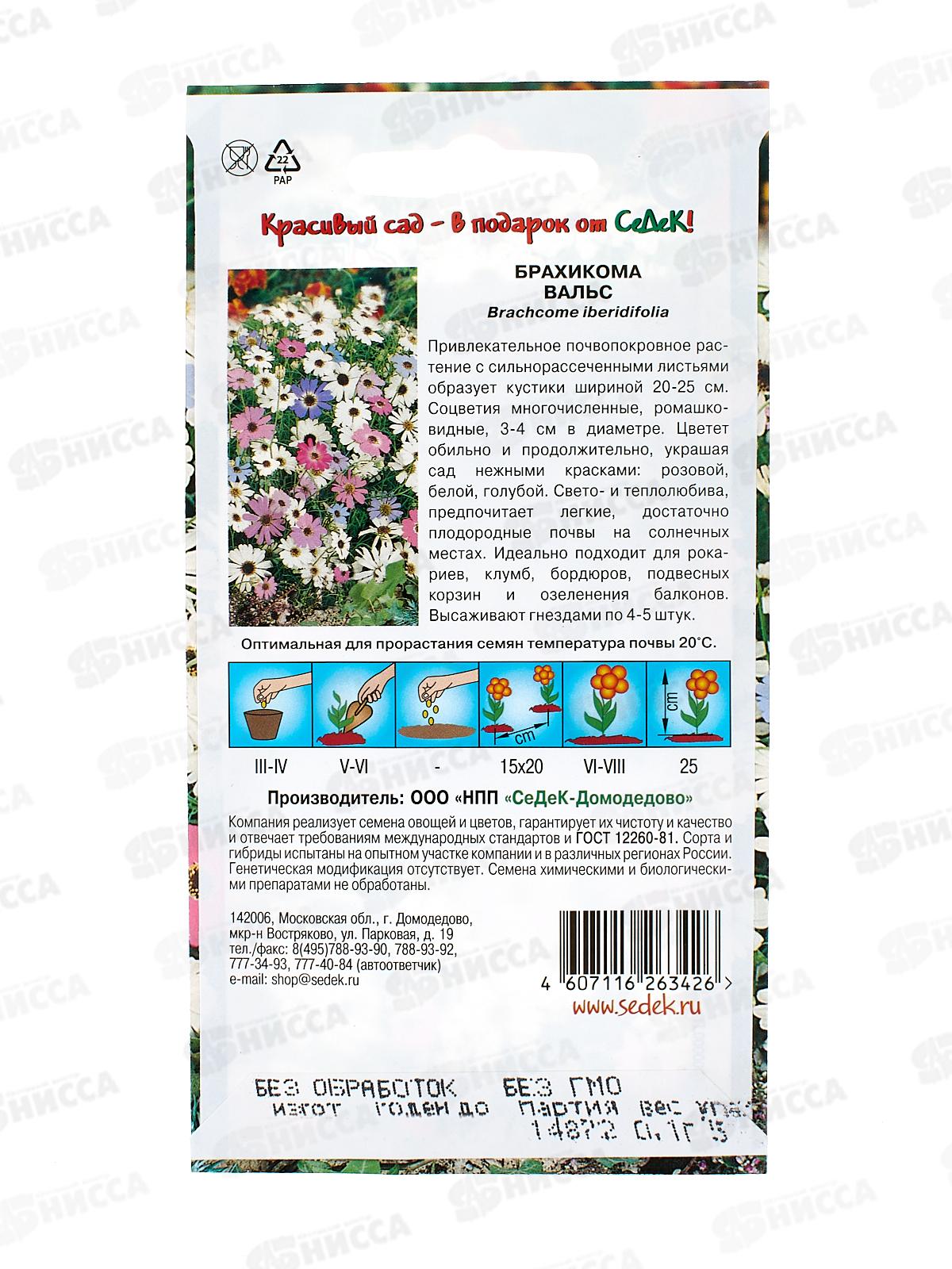 Брахикома Вальс  (иберисолистная, смесь) (Евро, 0,1) СеДек +