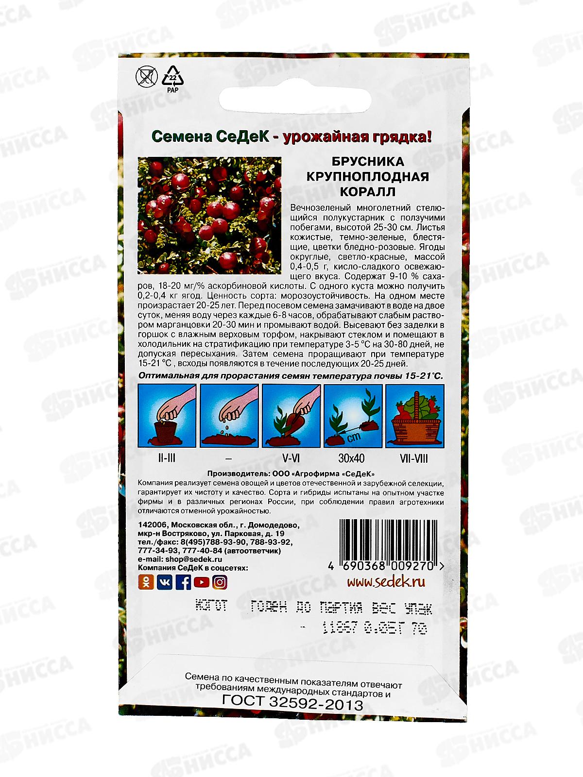 Брусника крупноплодная Коралл (Евро , 0,05) СеДеК СРОК ДО 12.25 *10