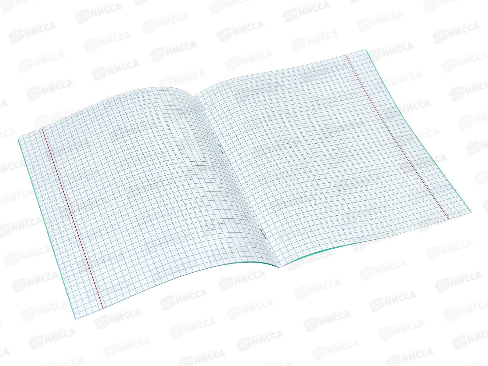 Тетрадь 12 листов клетка. ТОМСК писчая *100