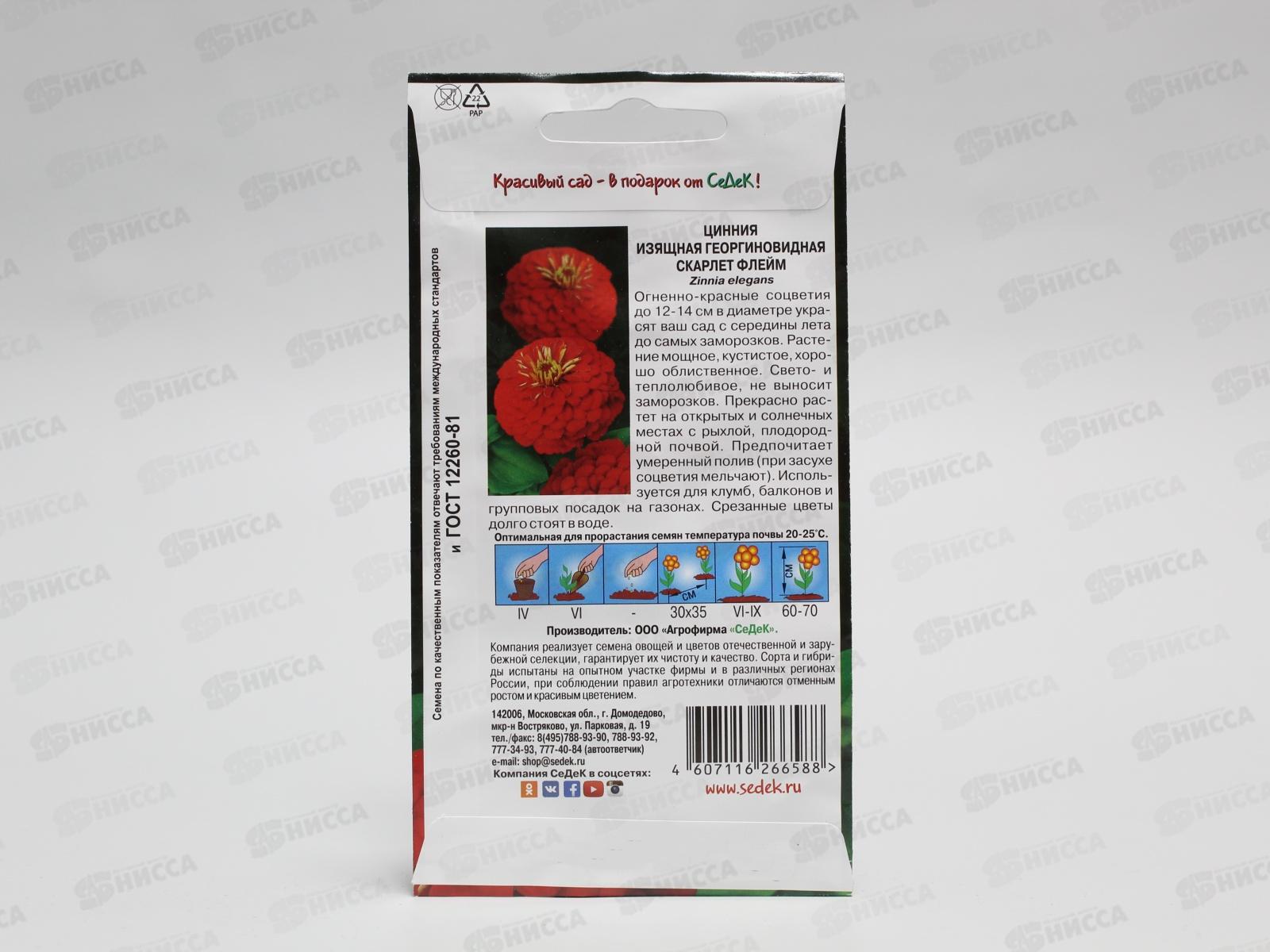 Цинния Скарлет флейм (георгиновидная, огненно-красная) (Евро, 0,5) СеДек *10 +