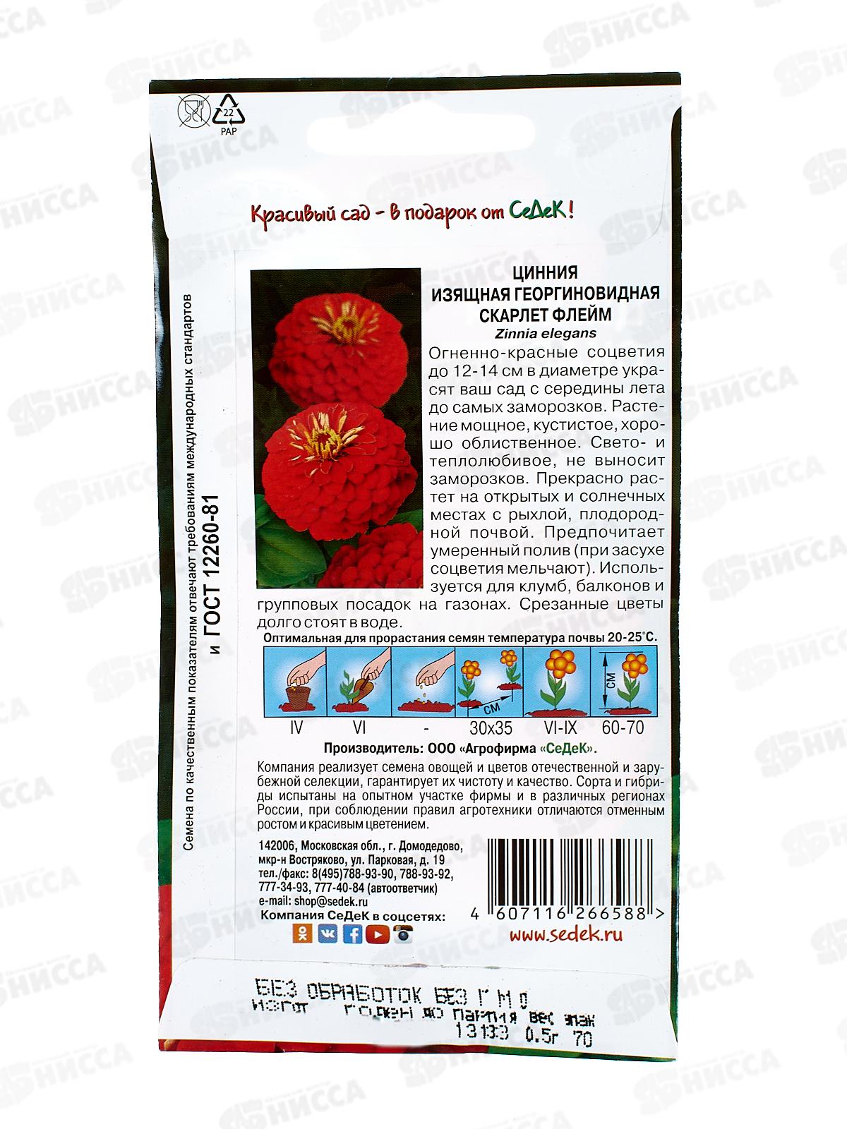 Цинния Скарлет флейм (георгиновидная, огненно-красная) (Евро, 0,5) СеДек *10 +