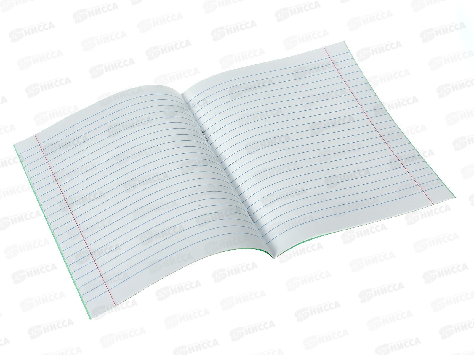 Тетрадь 12 листов линия ТОМСК  писчая с полями, 2-п *100