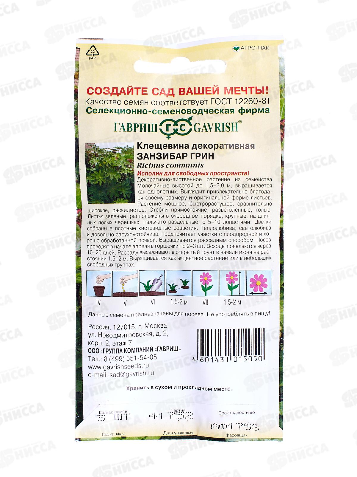 Клещевина Занзибар грин 5 штук   *10 ГШ