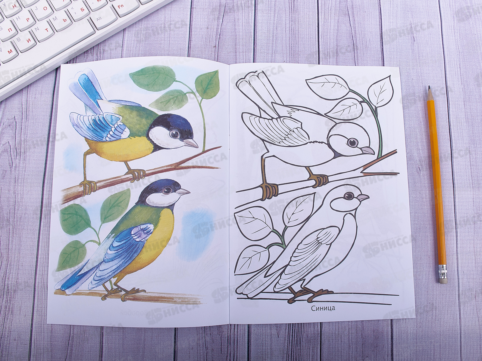 Раскраска Hatber А5 8листов Птицы, 03068 *100