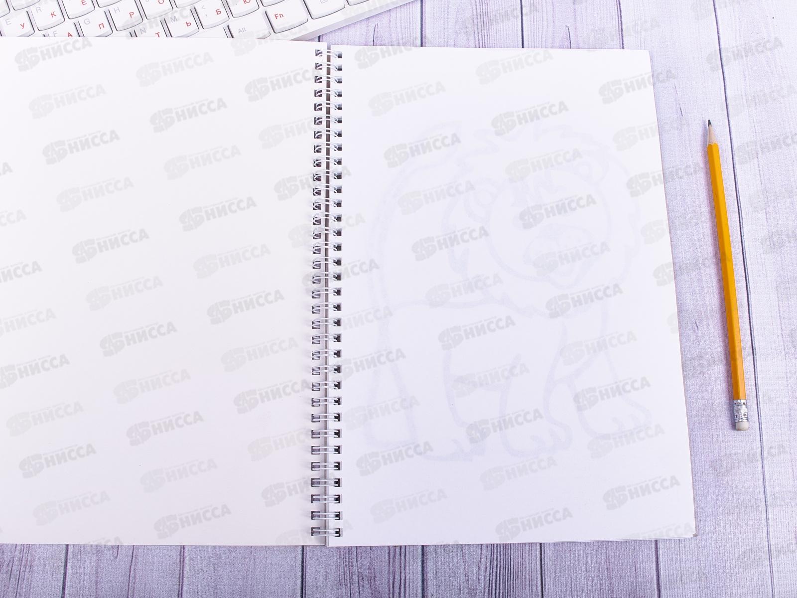 Супер-раскраска Hatber А4 32листа Прозрачные страницы.Щенок, на гребне, 06200 *24