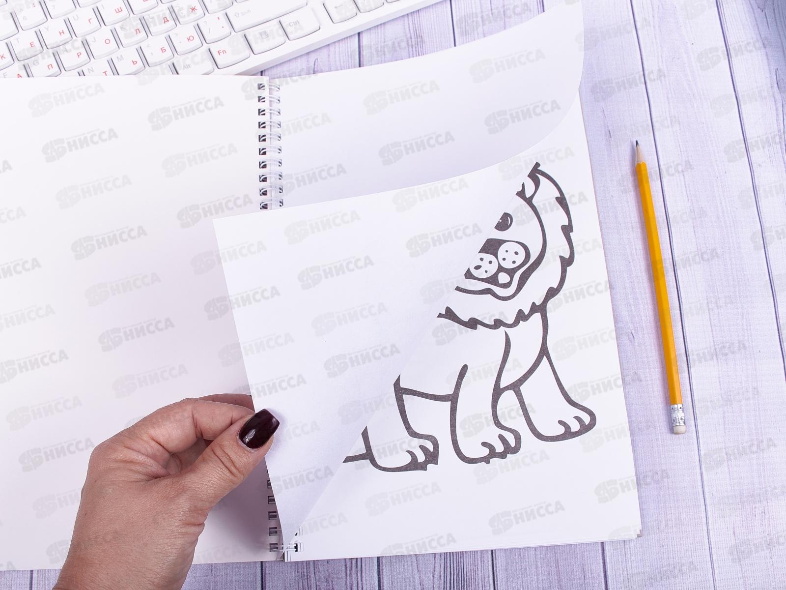 Супер-раскраска Hatber А4 32листа Прозрачные страницы.Щенок, на гребне, 06200 *24