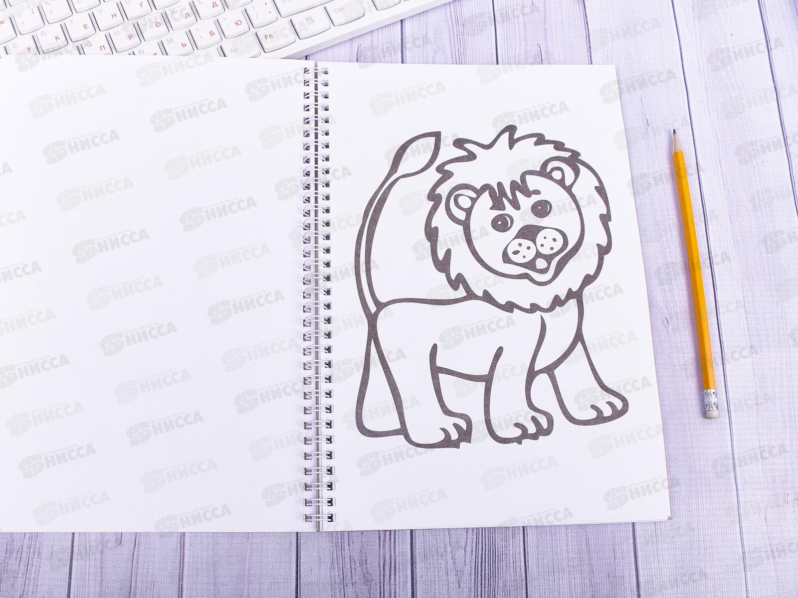 Супер-раскраска Hatber А4 32листа Прозрачные страницы.Щенок, на гребне, 06200 *24