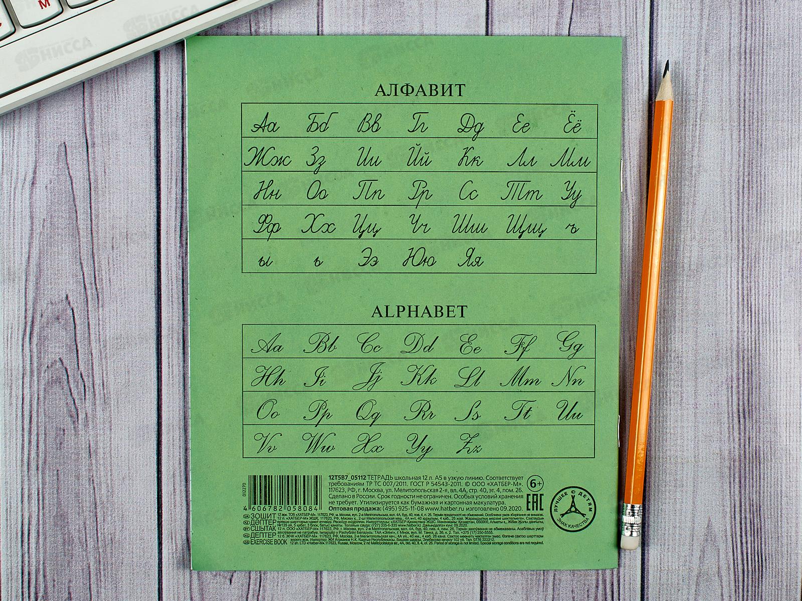 Тетрадь 12 листов в узкую линию Hatber зеленая обложка, 05112 *20/360