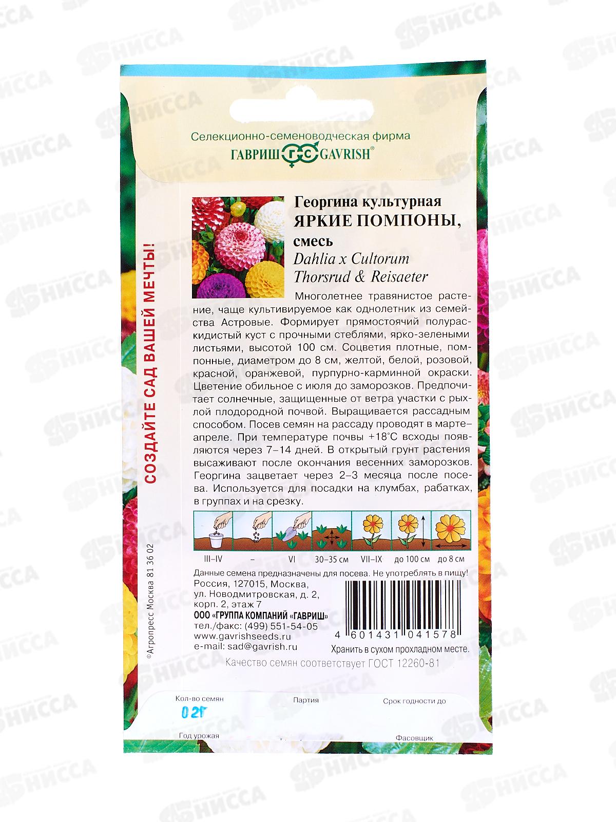 Георгина Яркие помпоны 0,2 грамма  Н12  *10  ГШ +