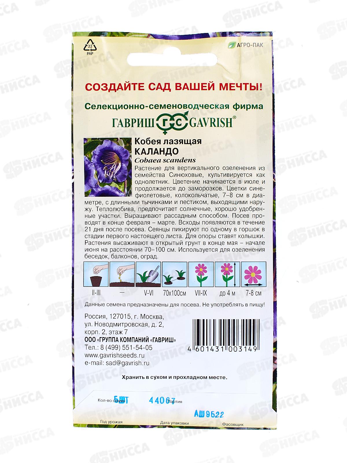 Кобея Лазающая Каландо 5ш  *10 ГШ +